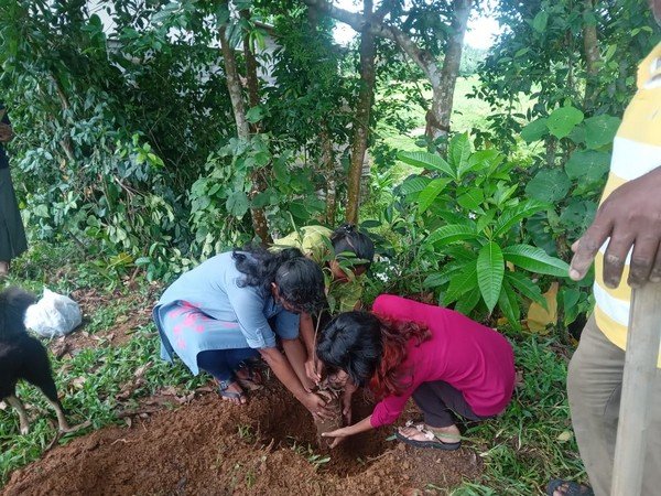 A program of planting forest plants in Homagama (2023-06-07)